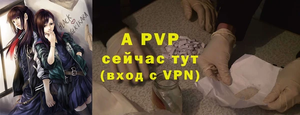 прущие крисы Майский
