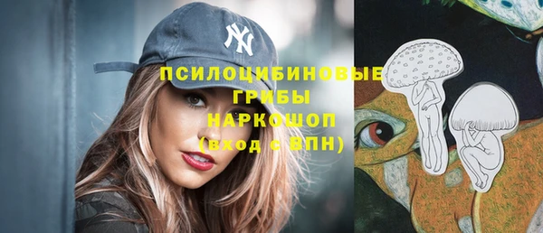 дурь Магас