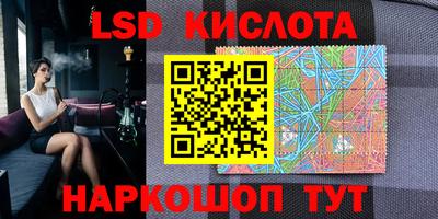 стафф Дубна