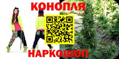 стафф Дубна