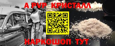 стафф Дубна