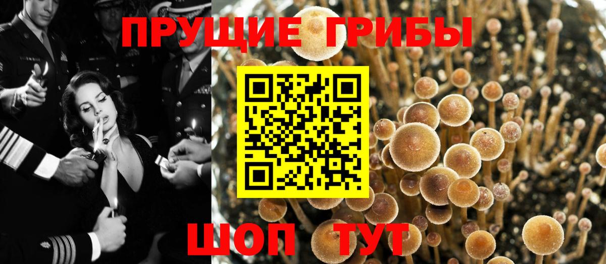 Псилоцибиновые грибы прущие грибы Новошахтинск