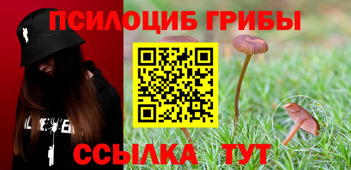 ГАШ Новошахтинск