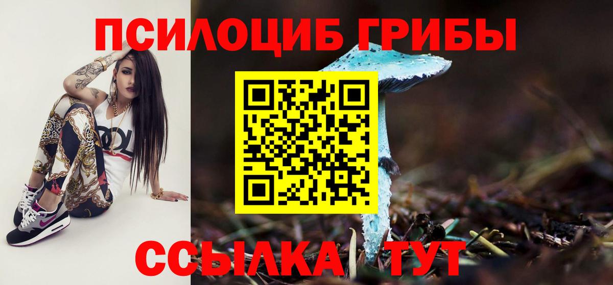Псилоцибиновые грибы ЛСД  Новошахтинск 