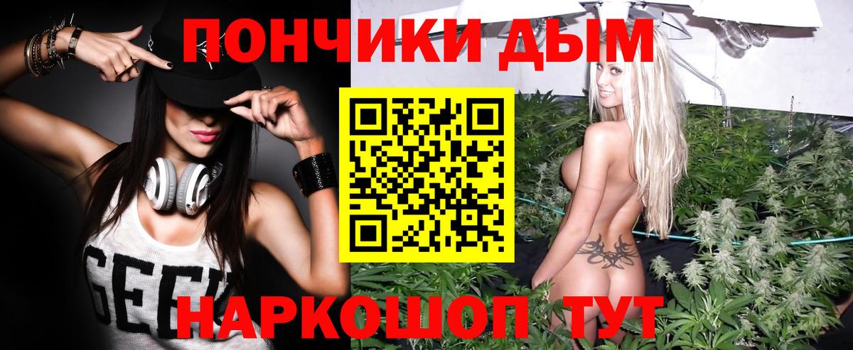 Шишки марихуана семена Новошахтинск